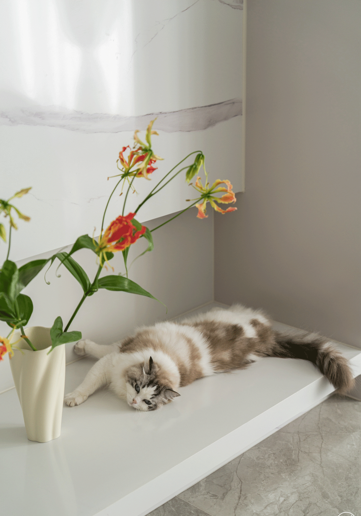 明亮温暖色系的花园房设计丨清羽设计-11