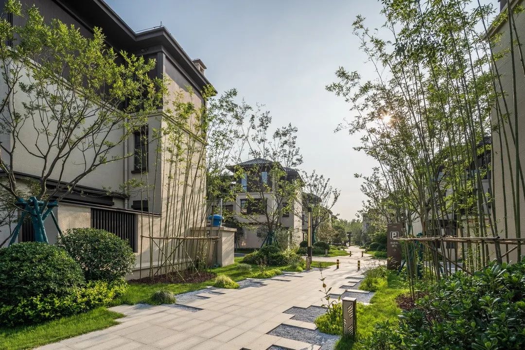 古韵古镇,颐养千年 | 建业·十里湖山一期大区-44