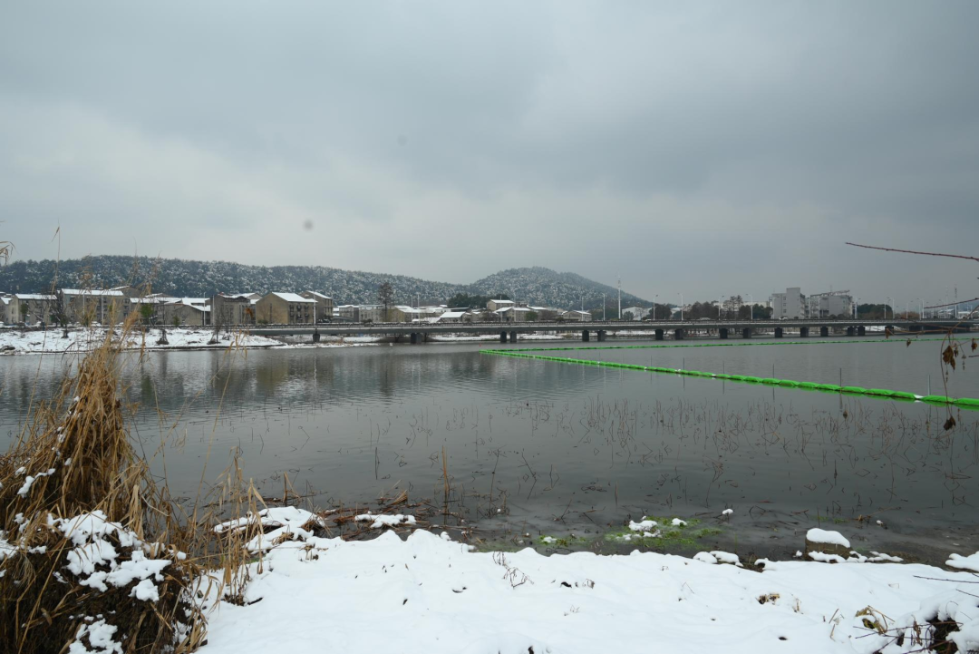 陈海峰  影像纪实 / 东湖之上-59