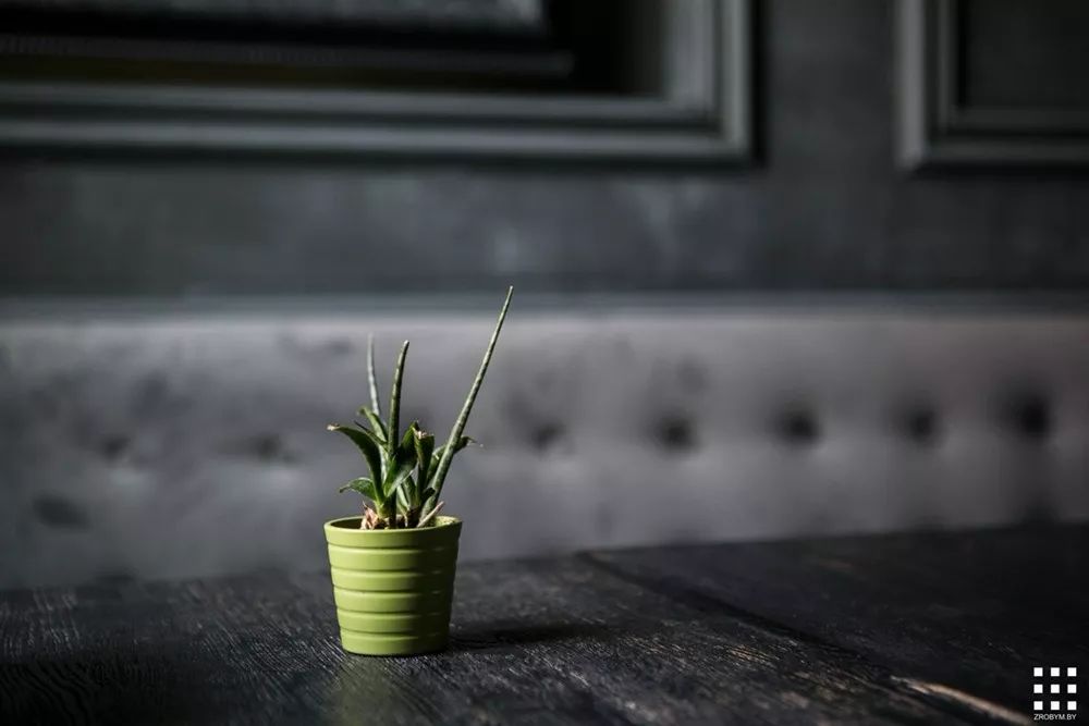 绿意盎然的小意大利咖啡馆——GREEN CUISINE 素食餐厅设计鉴赏-34