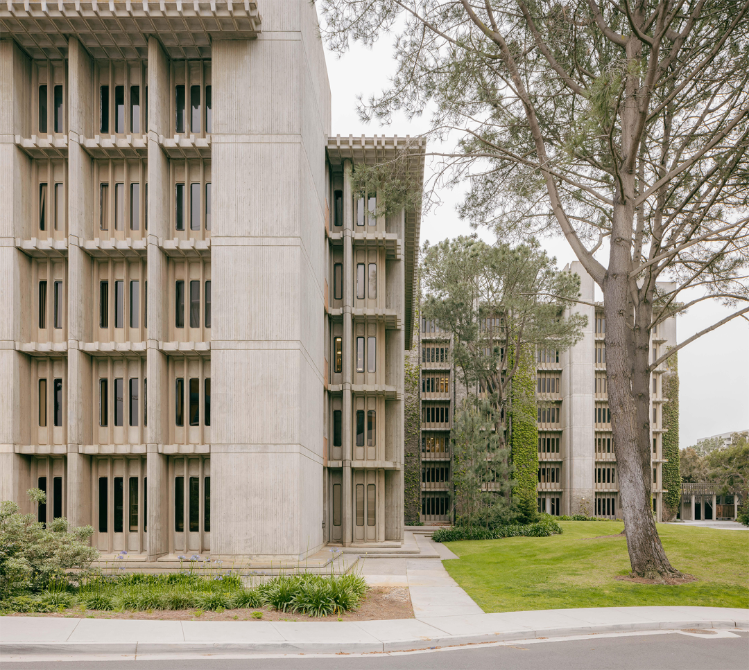 皇家国家剧院丨英国伦敦丨Denys Lasdun-87