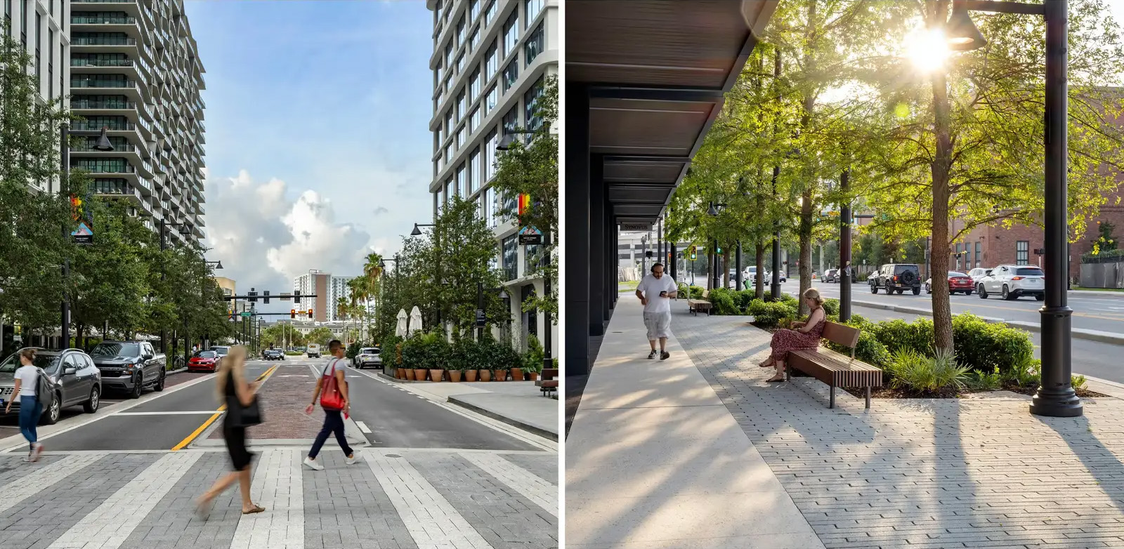 坦帕水街的连绵树冠丨美国丨Reed Hilderbrand-43