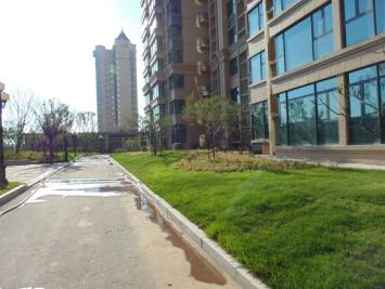 绿化设计中的地被放线手法与植物配置-99