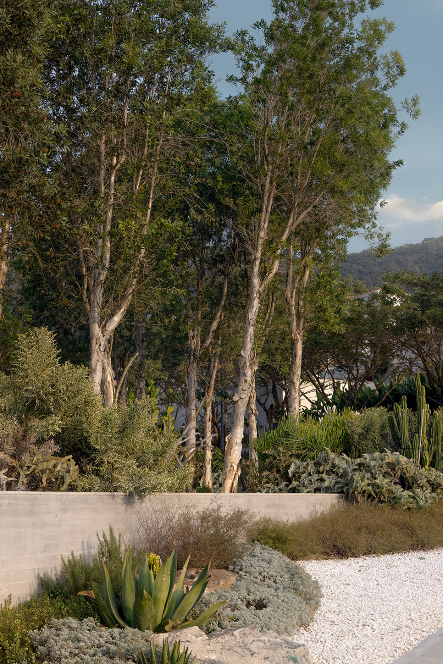 阿那亚·三亚的山丨中国三亚丨WTD纬图设计-30