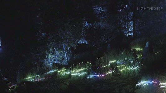 新昌狐巴巴探索星球-3