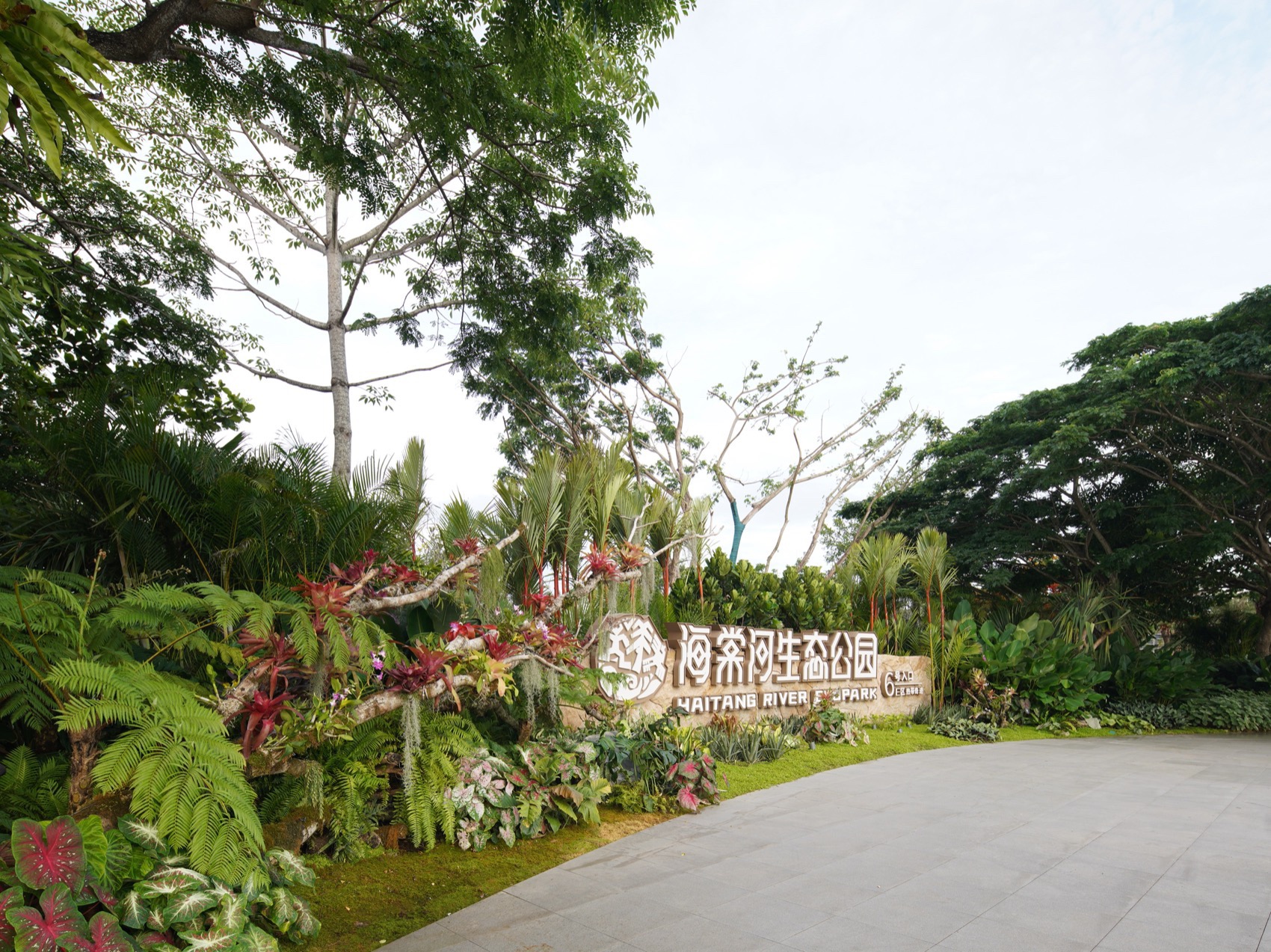 三亚海棠河生态公园阔叶浅溪段的花境生态营造丨中国三亚丨LOLA景观建筑设计事务所-23