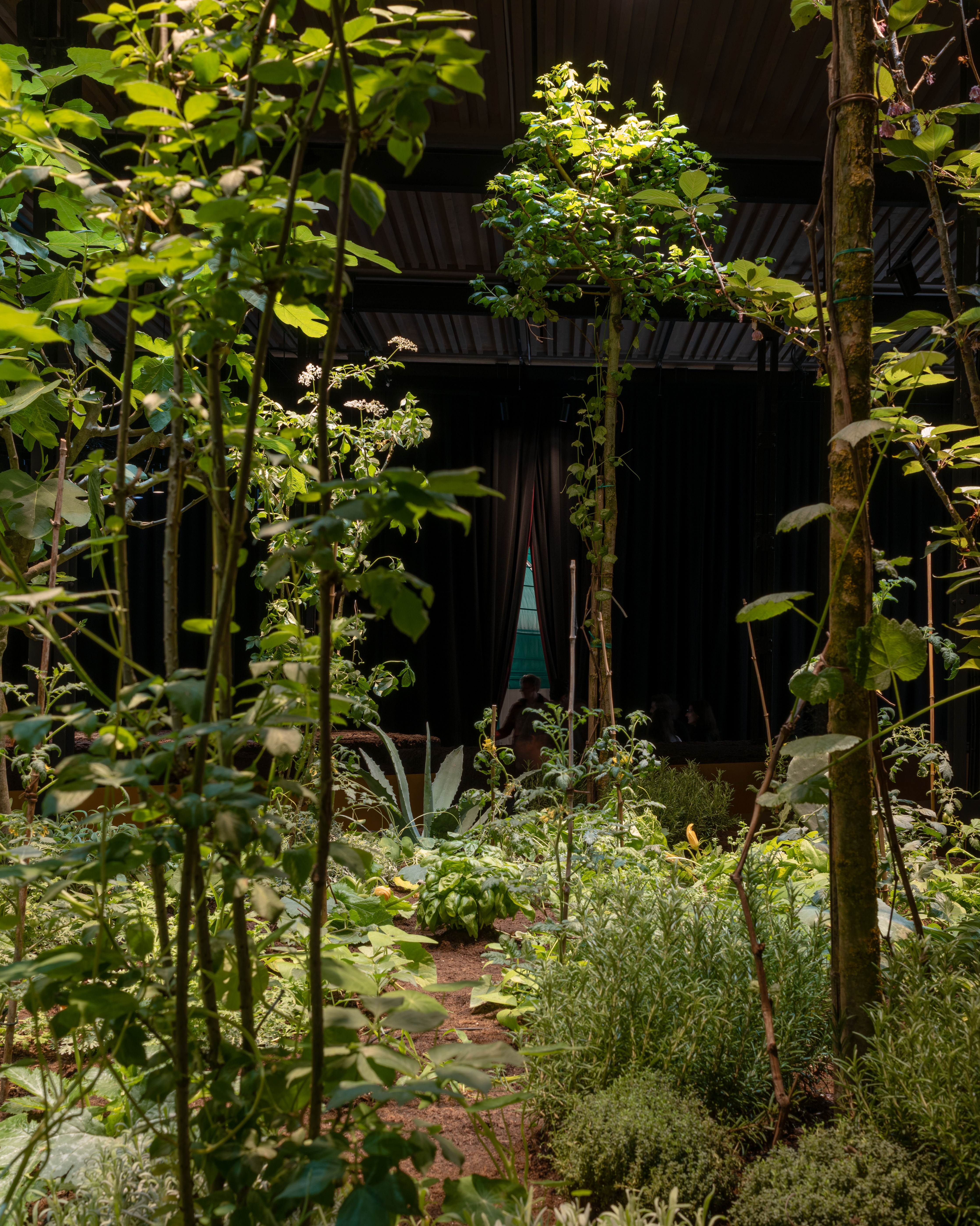 第 19 届威尼斯国际建筑双年展:墨西哥馆,探索古老农业系统的生态潜力-3