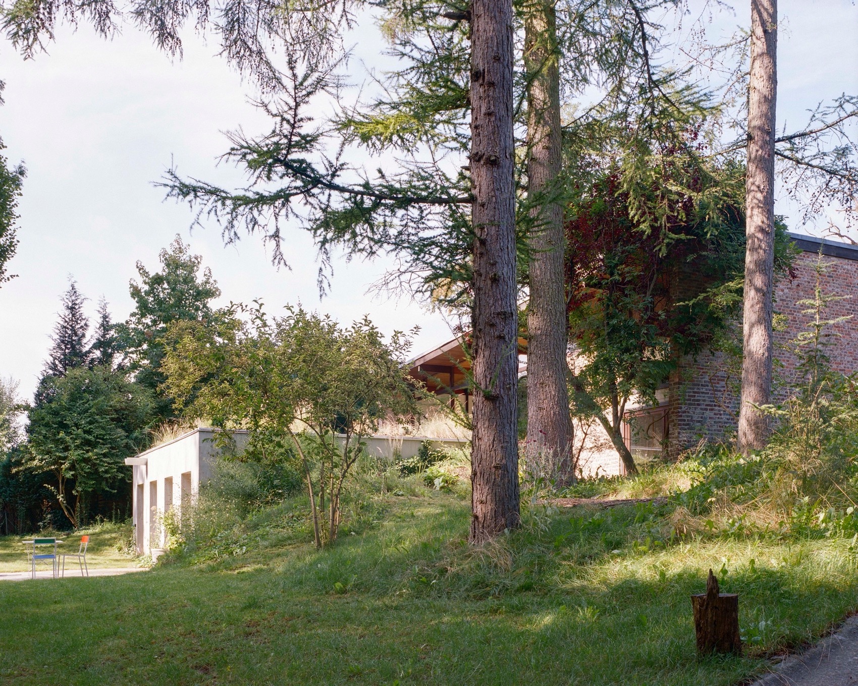 Kelleveld 住宅改造丨比利时丨Mamout architectes-61