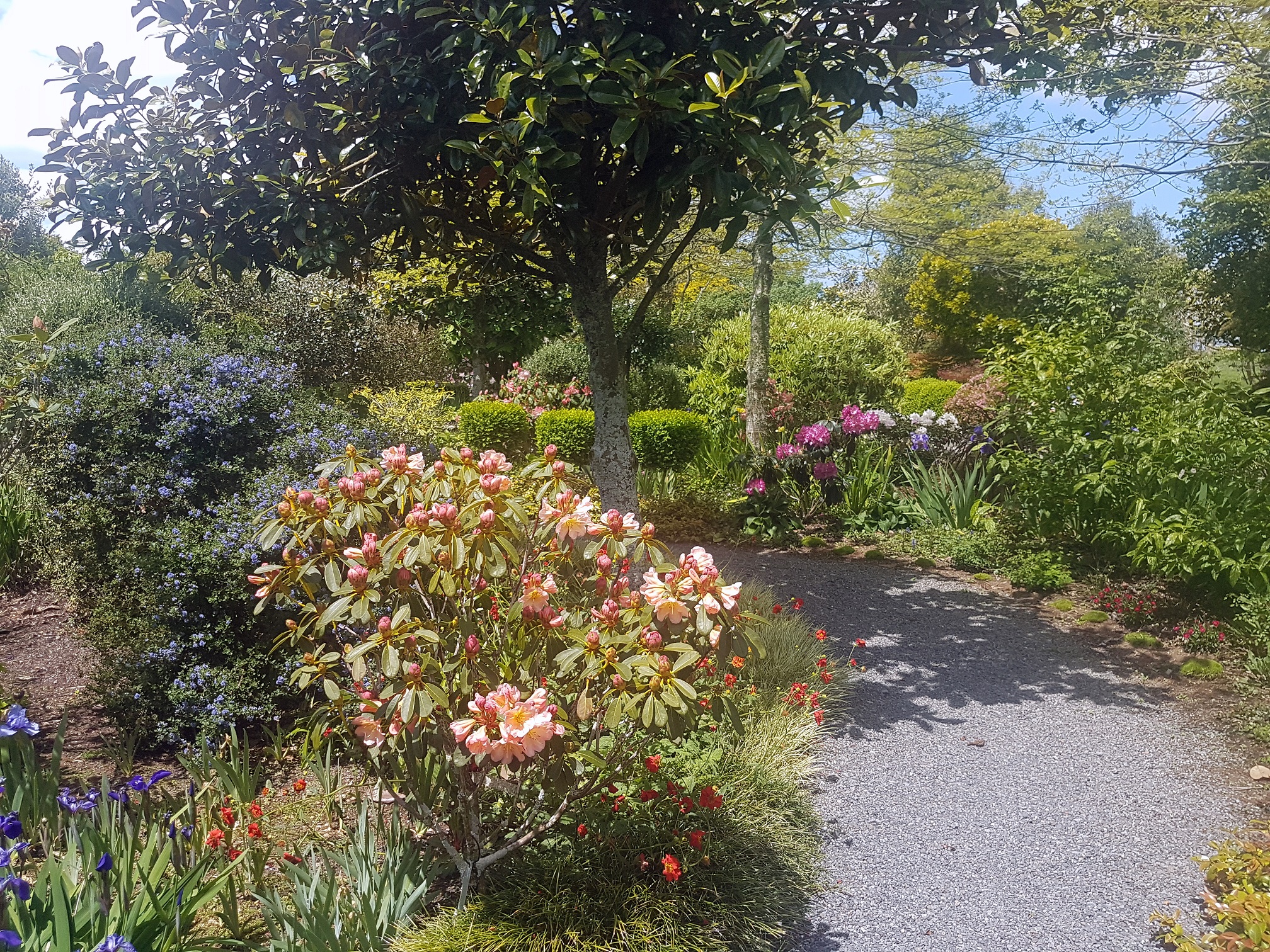 Cairnhill私人花园-24