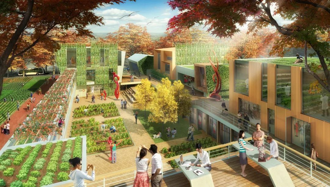 农业城市主义视角下的百色国家农业科技园区特色营造策略丨中国百色丨GZPI规划设计三所-33