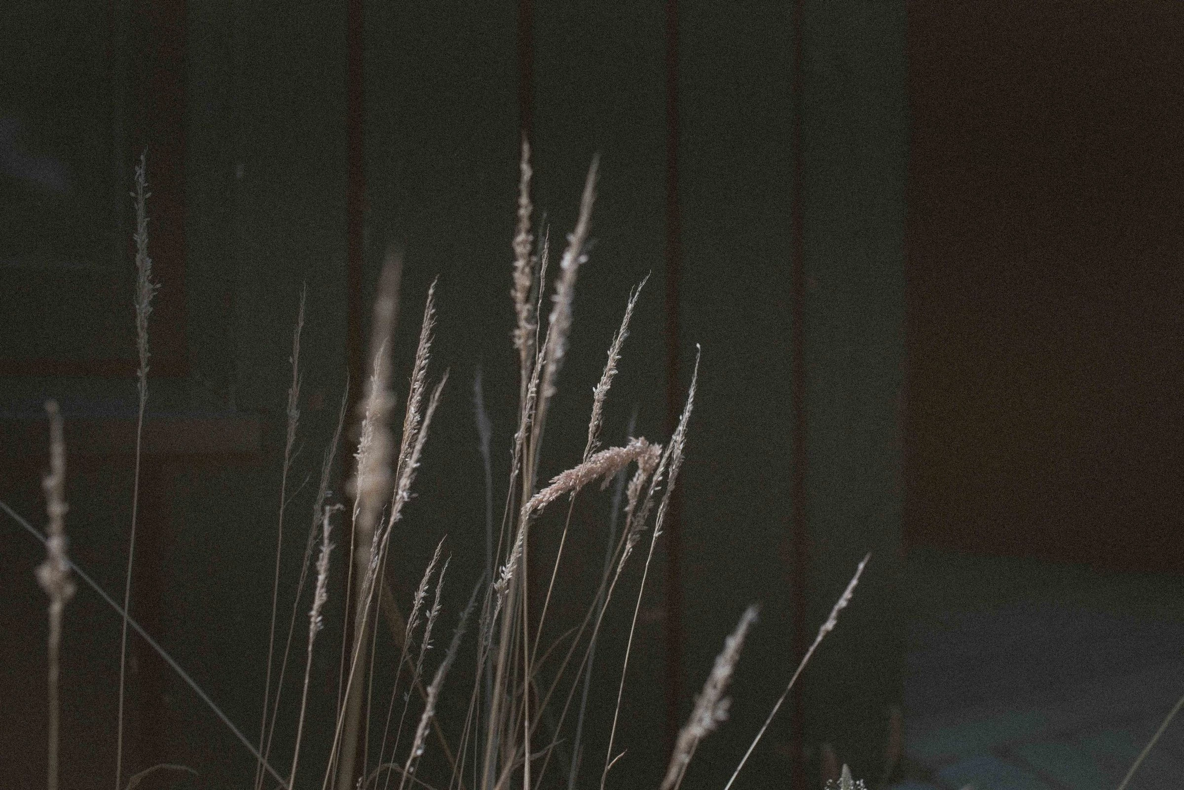 英国乡村环保住宅“黑 barn”-33