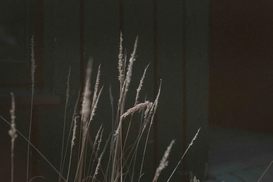 英国乡村环保住宅“黑 barn”-33