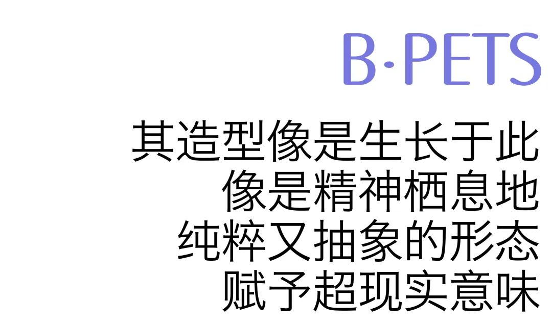 B·PET 宠物服装买手店丨中国深圳丨Artdeep 艺痴設計-20