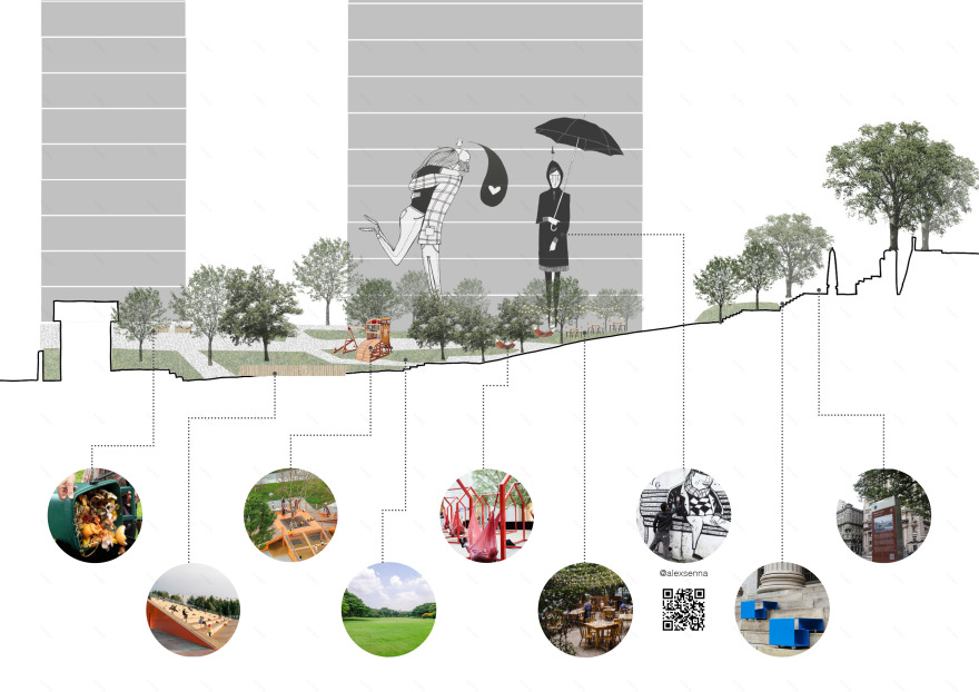 城市生物群丨巴西圣保罗-15