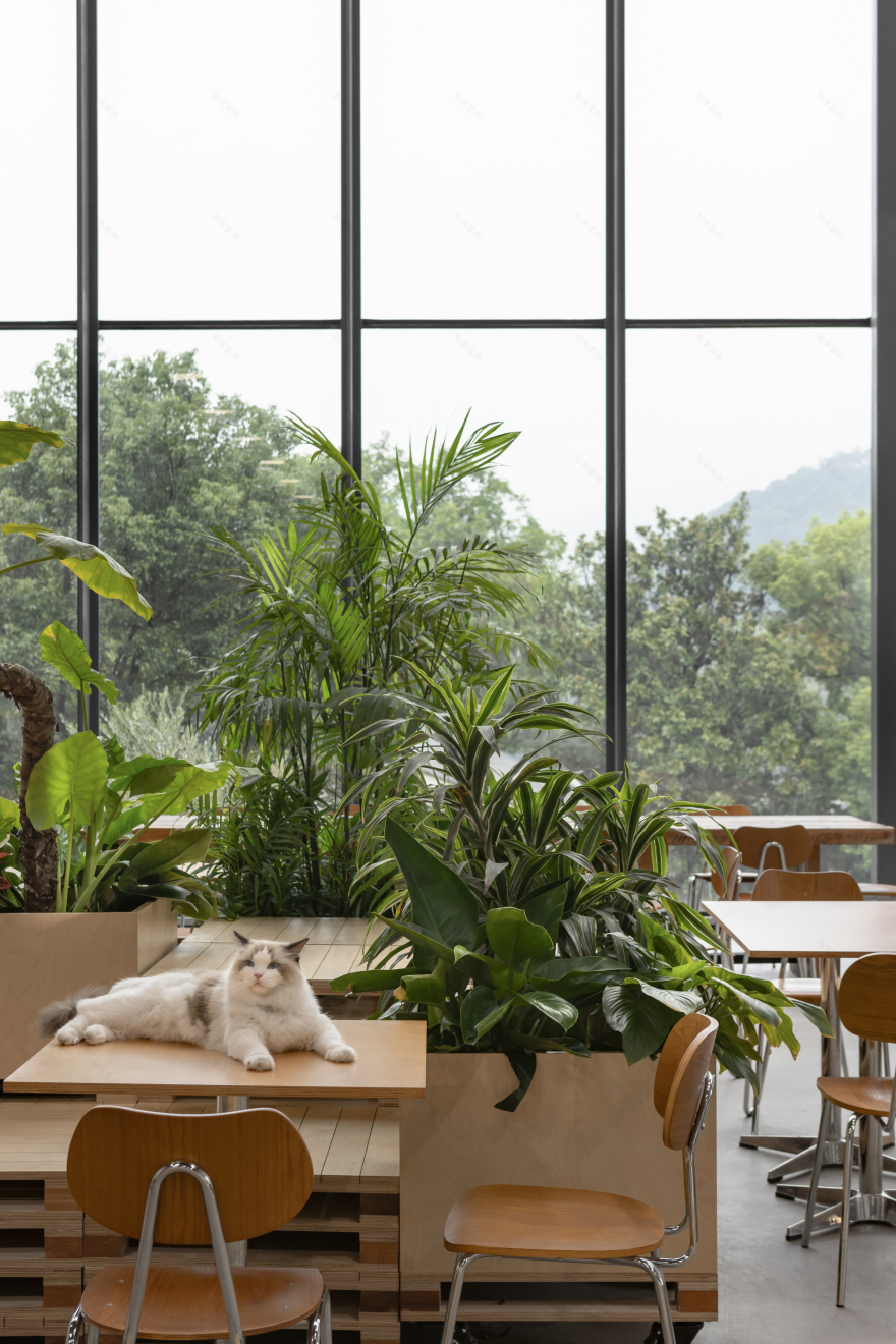 Cycle&Cycle Stone-oven Bakery Restaurant / Tens Atelier + FANAF-24