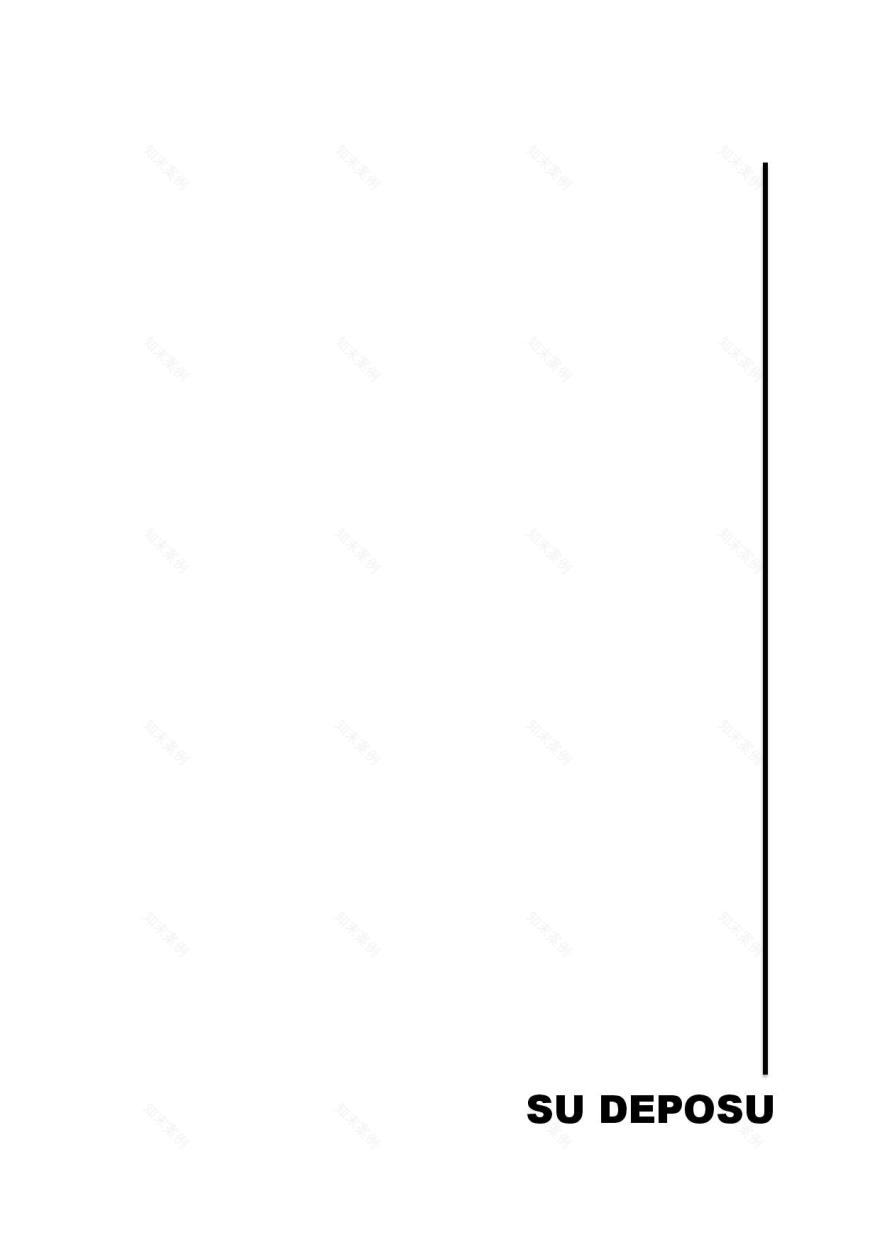 卡米卡高中历史墙保护-65