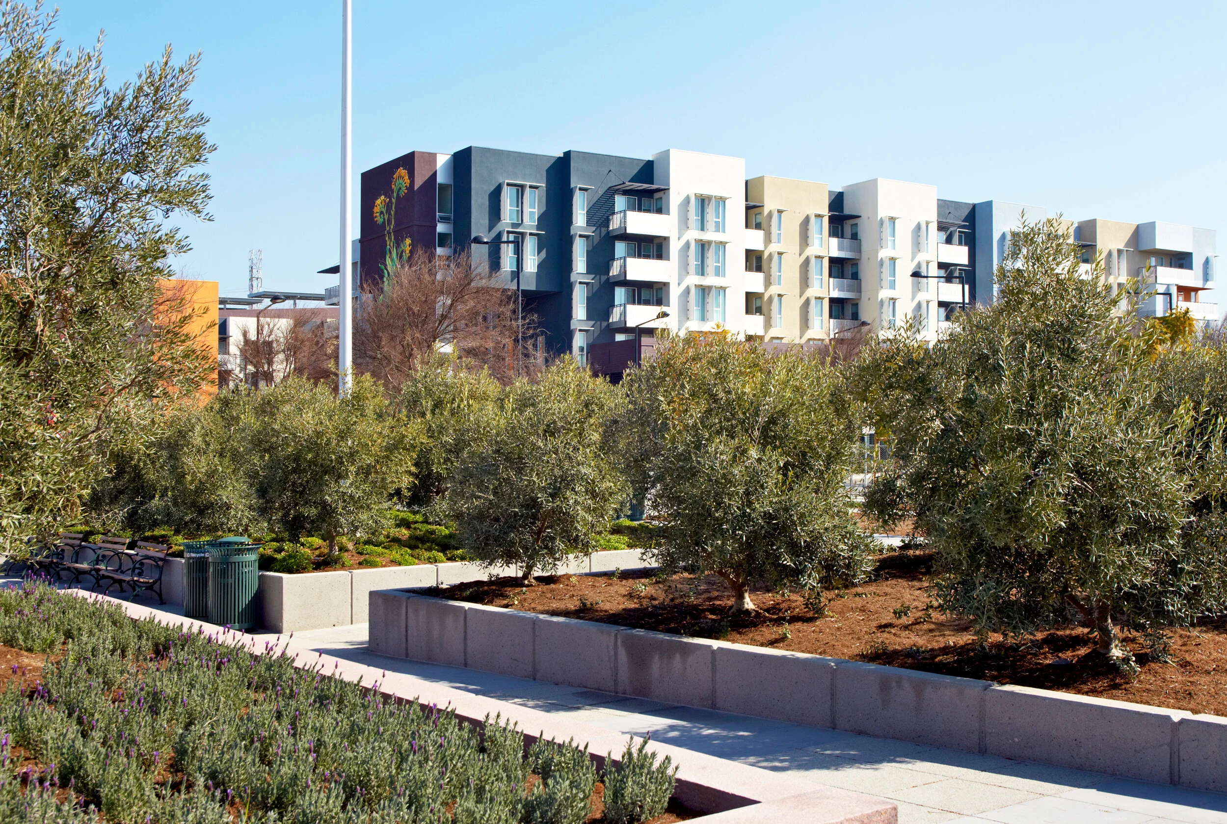 丨Fletcher Studio-21