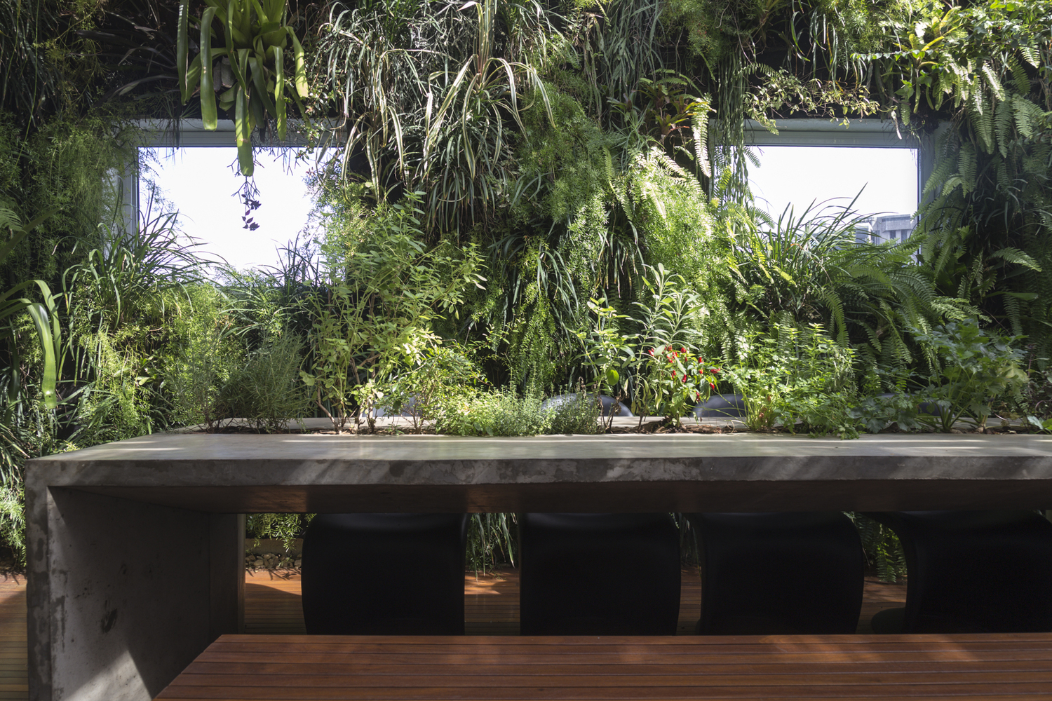 Jardim Paulistano Penthouse  Gabriella Ornaghi Arquitetura da Paisagem-41