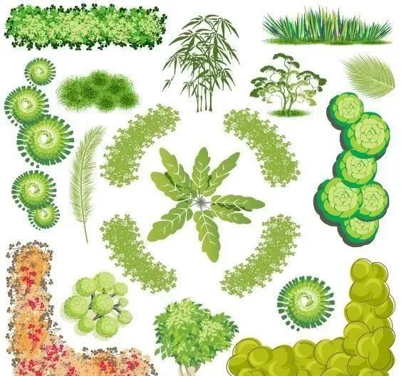 青春系彩平植物素材-58