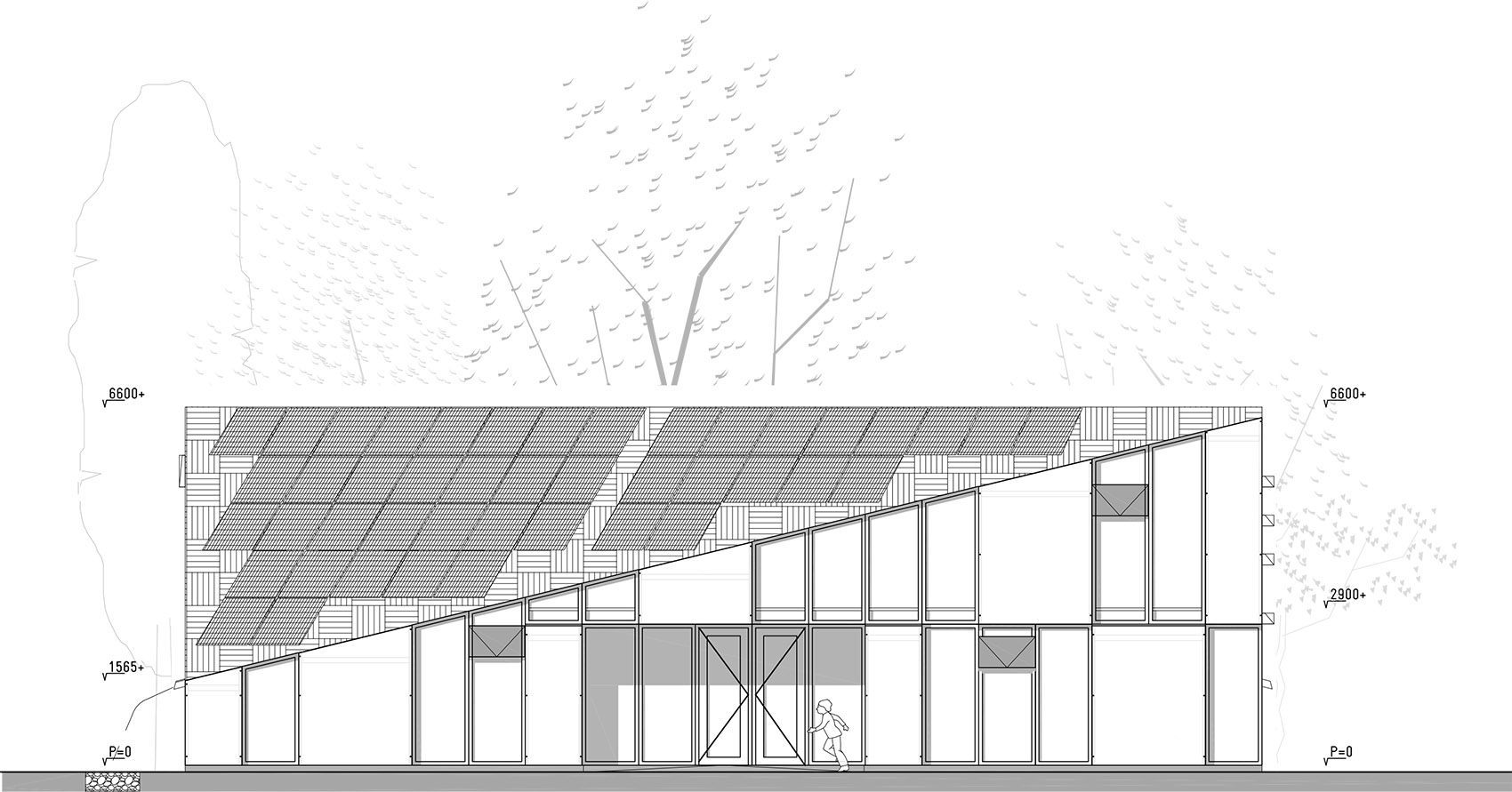 阿姆斯特丹自然与环境教学中心,荷兰 / bureau SLA-63