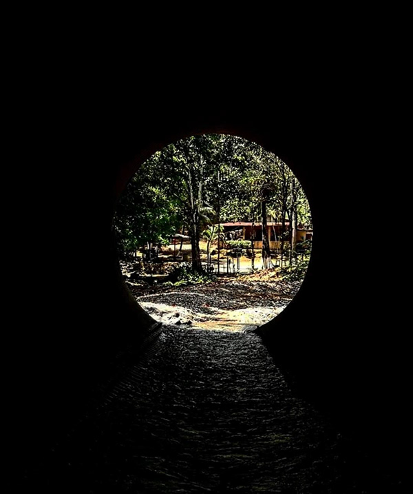 ARQT-1101 PRINCIPIOS E2-4