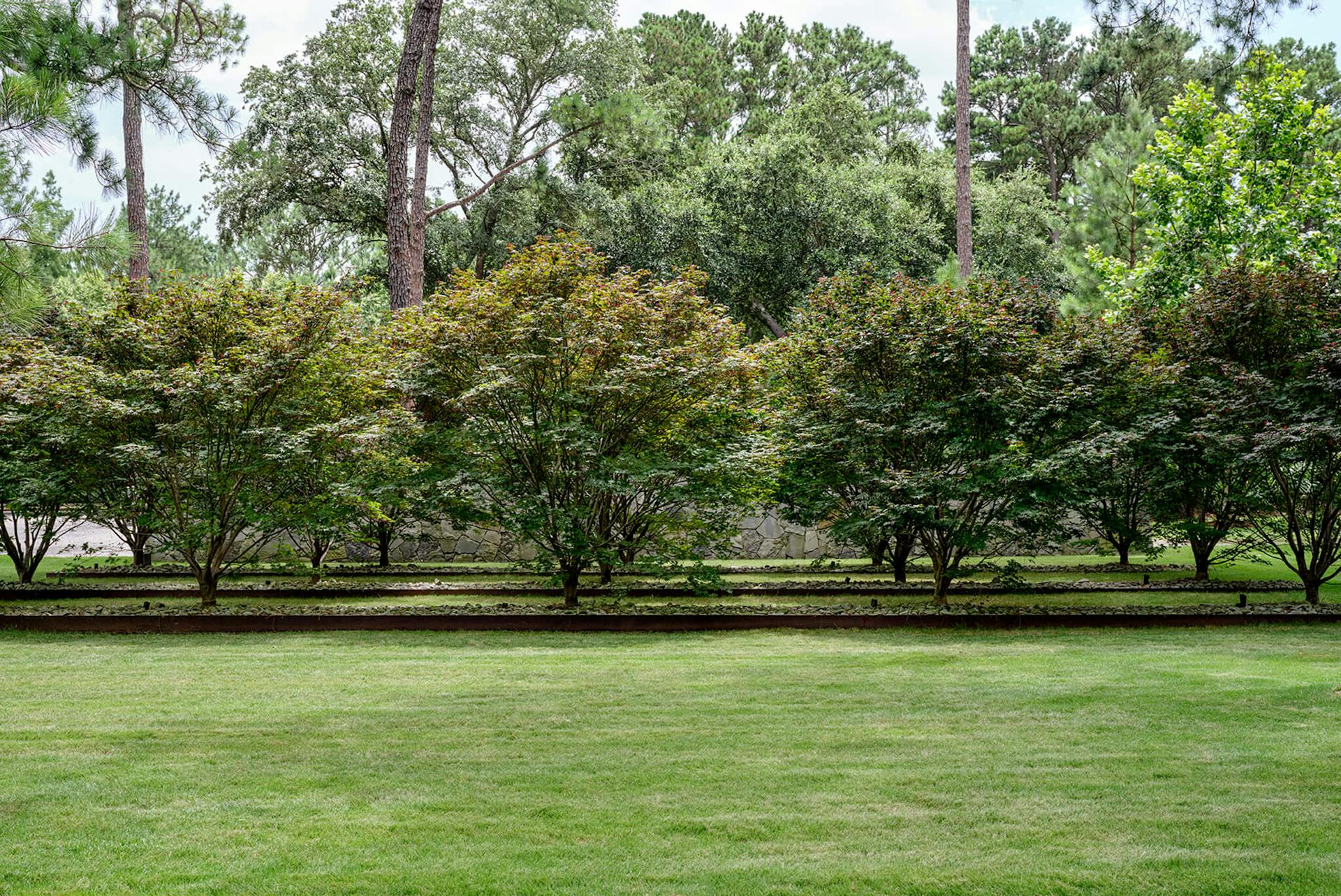 新月丨美国达拉斯丨HOCKER-92