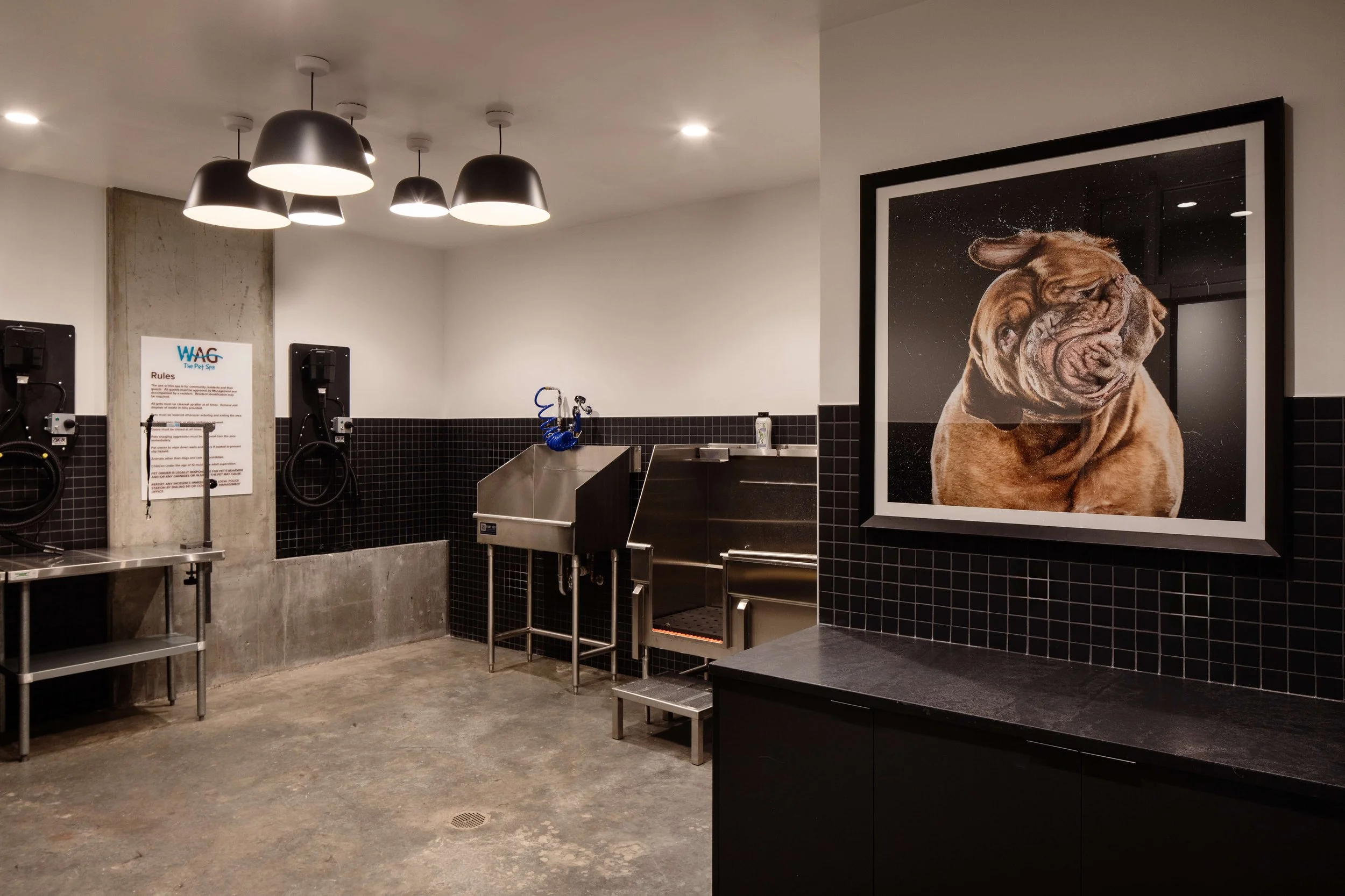 丨美国丹佛丨Vida Design-93