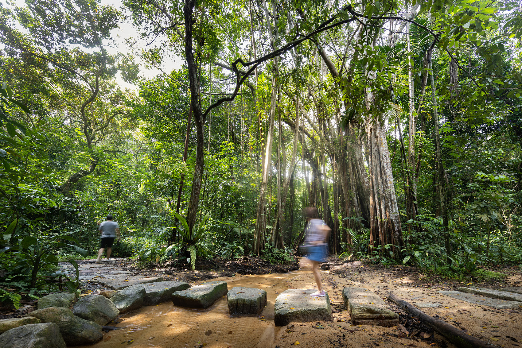 射靶场自然公园丨新加坡丨Henning Larsen-24