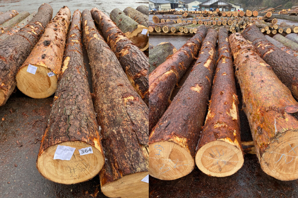 風の森の土壁４ 建筑士市场买木材用于设计项目丨水野设计室-20