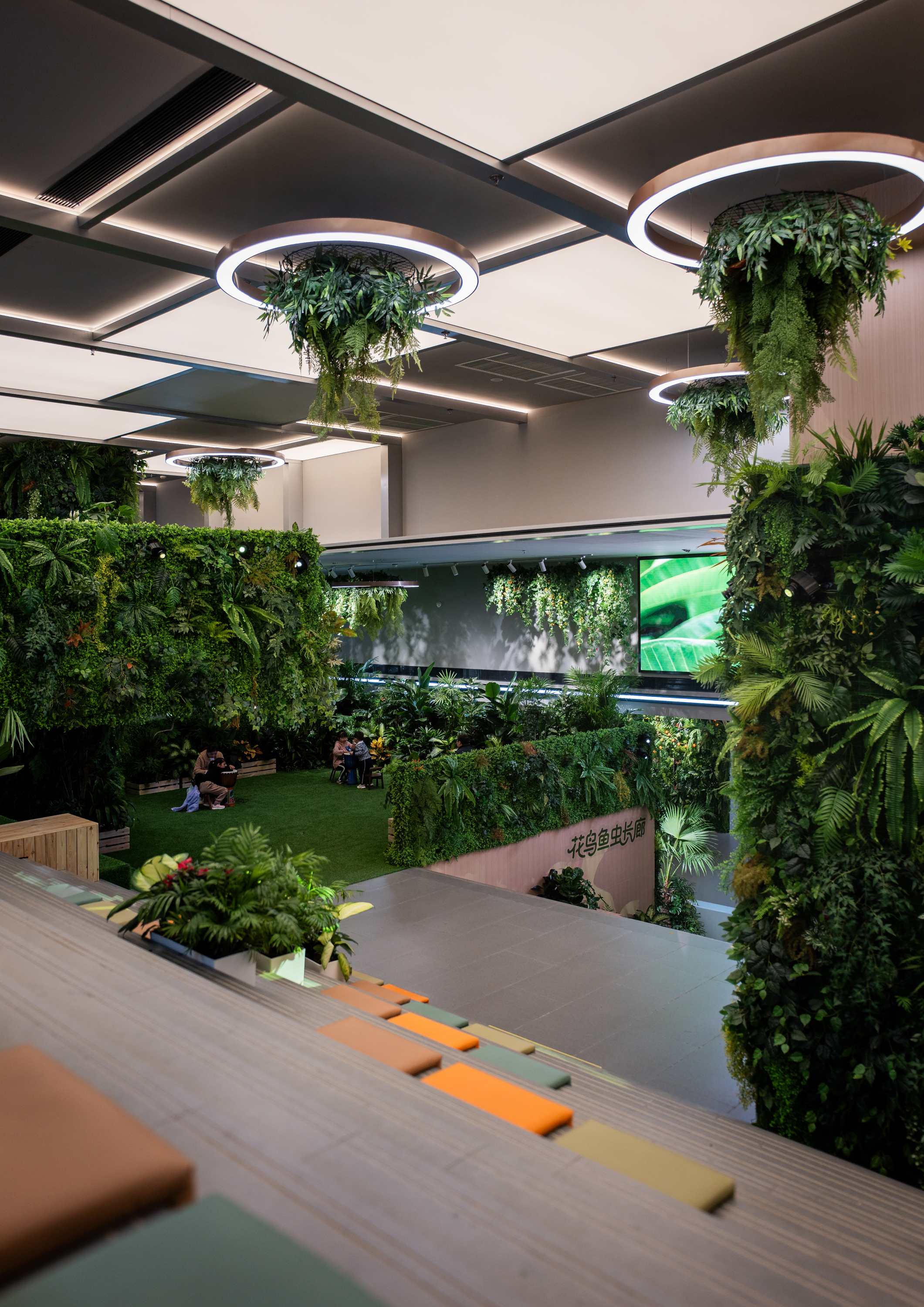 北京超极合生 迷失在花鸟鱼虫市场里的年轻人。-13