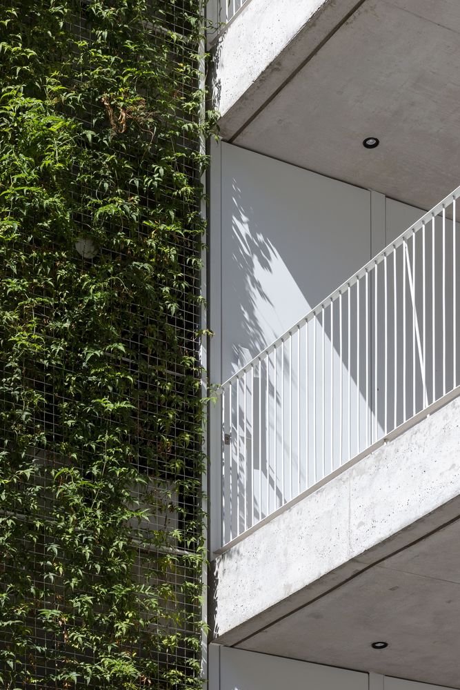 阿根廷 Colegiales 的 Conde 1113 建筑-35