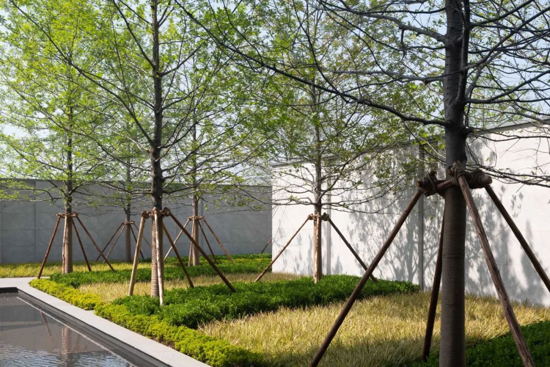 武汉光谷·大家中心景观示范区丨中国武汉丨会筑景观-14