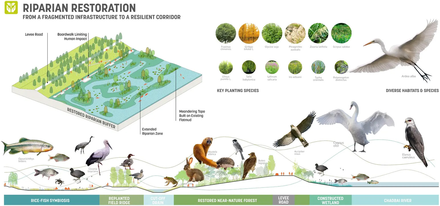 乡村的富饶与活力:天津潮白河流域丨中国天津丨Sasaki-23