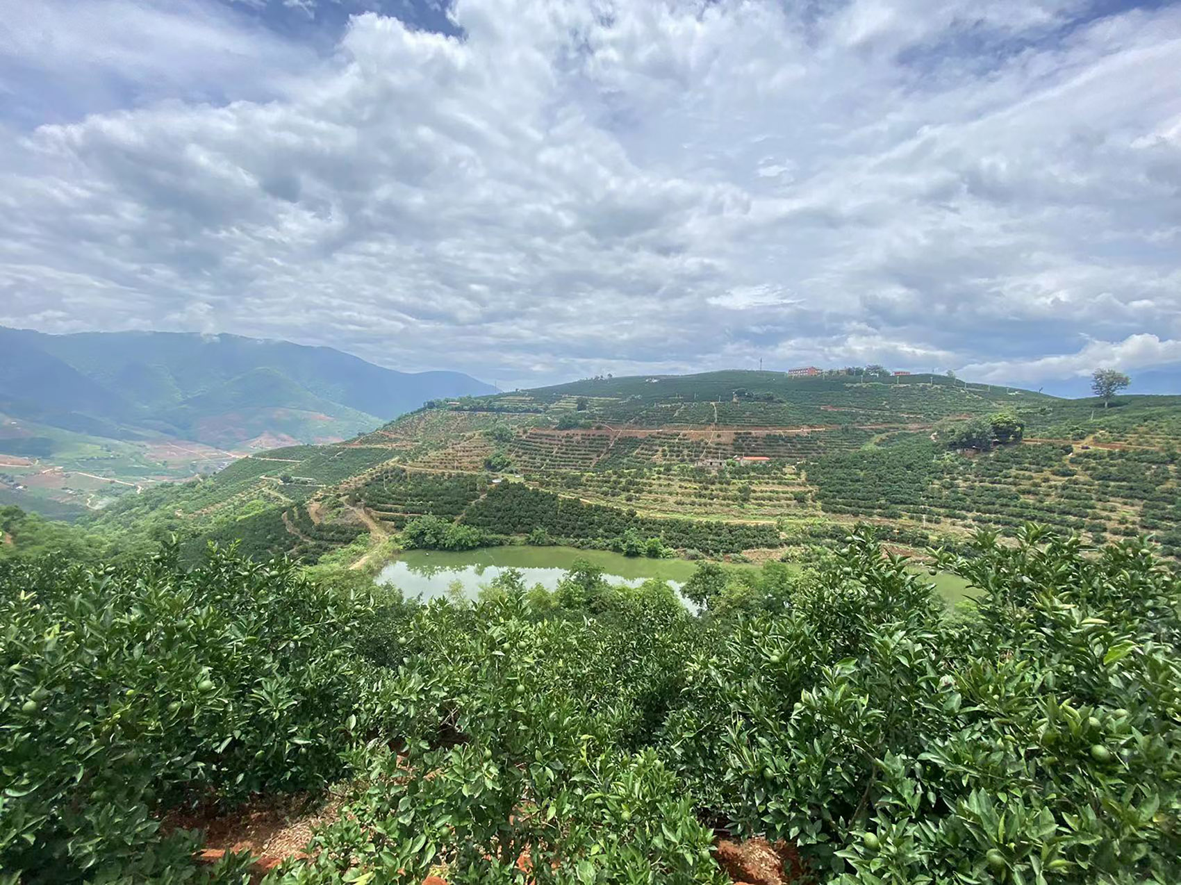 褚橙庄园生活中心丨中国玉溪丨素造建筑-139