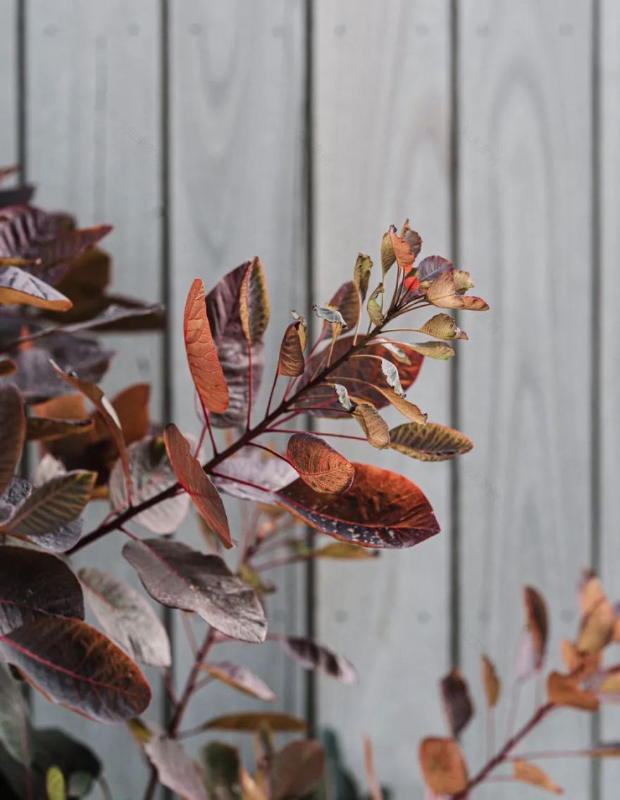 诗意宁静的谷仓式家庭住宅丨加拿大维多利亚丨Billy Innes-28