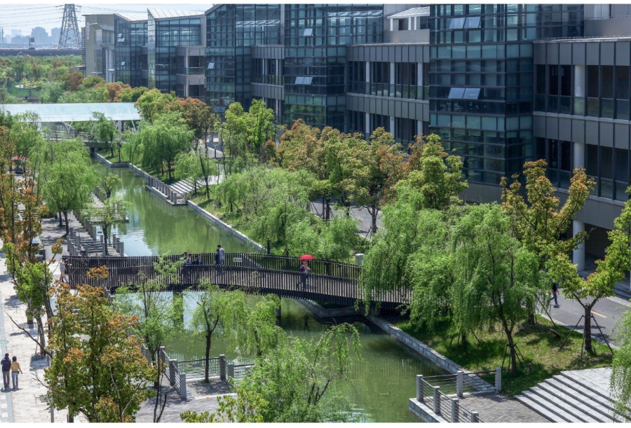 上海科技大学-38