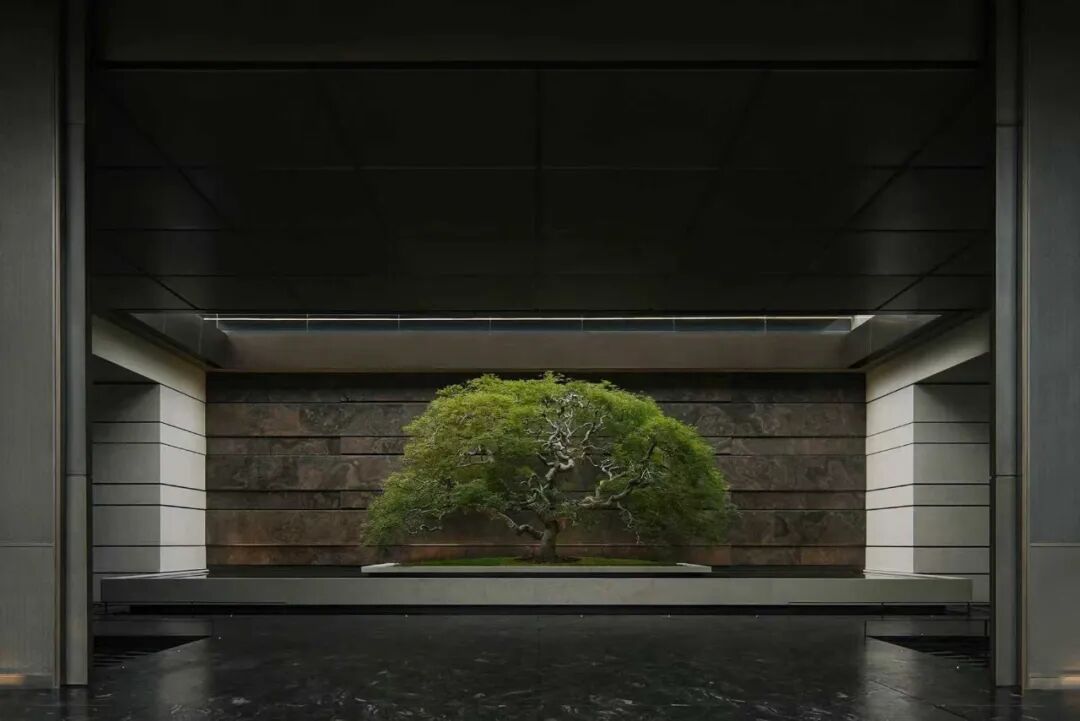 杭州华润元起观潮府丨中国杭州丨JTL加特林,goa大象设计-11