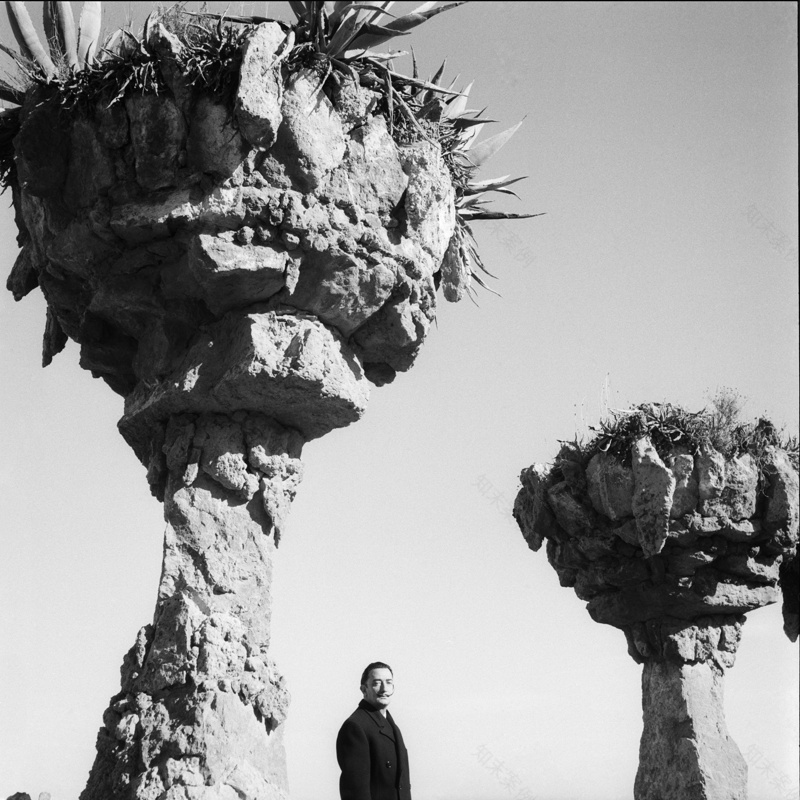 Park Güell(古埃尔公园)丨西班牙巴塞罗那丨Antoni Gaudí i Cornet等-86