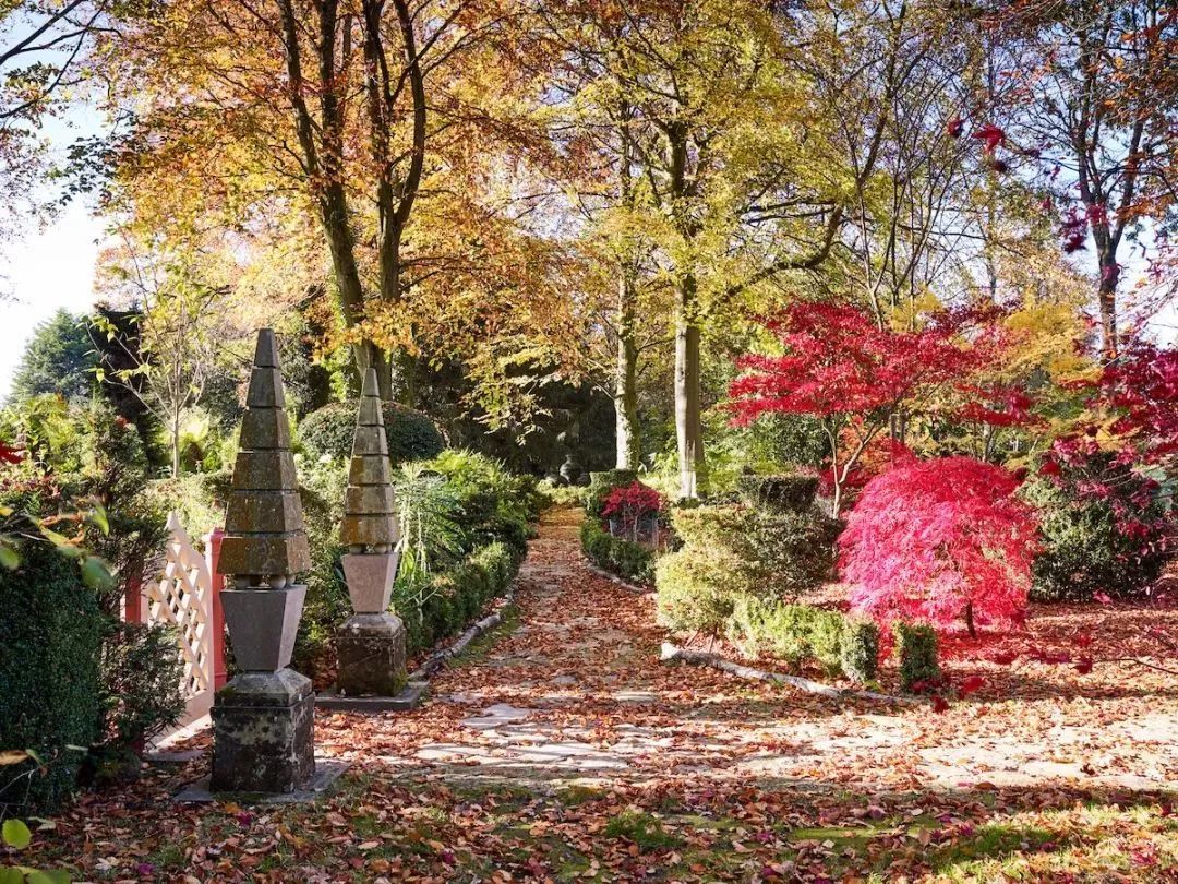 海格罗夫庄园 | 查尔斯王子的世外桃源-98