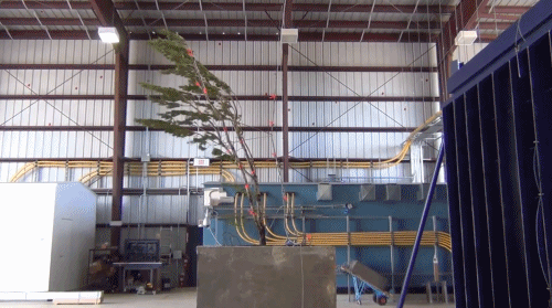 第四代住房「垂直森林」来了,竟在中国遍地开花!网友:蚊子太多,住不起......-82