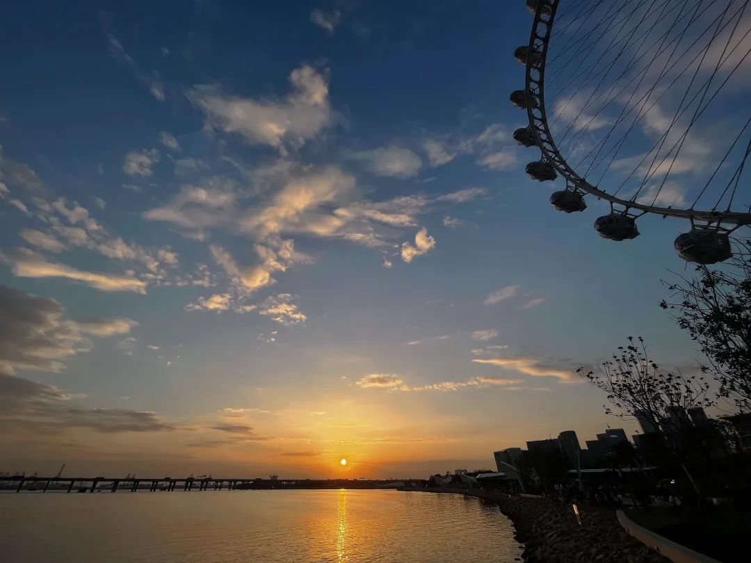 千园之城又添新景，这里的浪漫从白天到黑夜-85