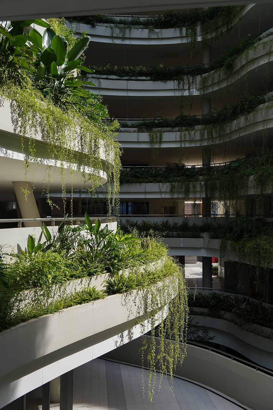 深圳无界花园丨中国深圳丨大小景观-43