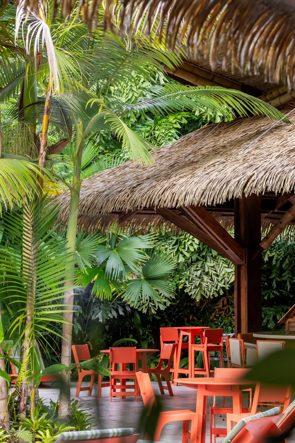 Aguas Claras酒店餐厅和瑜伽馆丨哥斯达黎加丨Studio Saxe-30