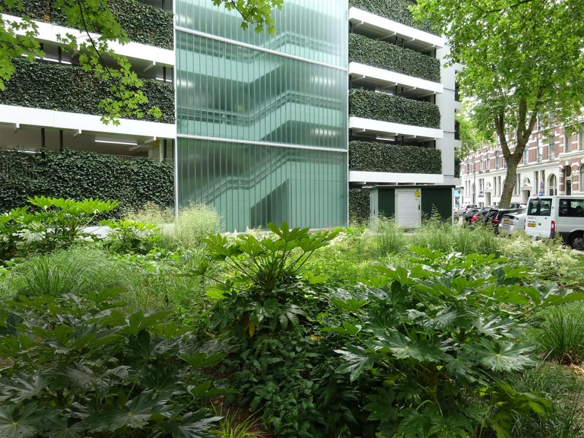 丨荷兰鹿特丹-11