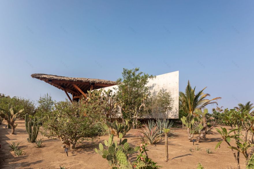 莱里亚之家丨墨西哥瓦哈卡丨TAC Taller Alberto Calleja-9