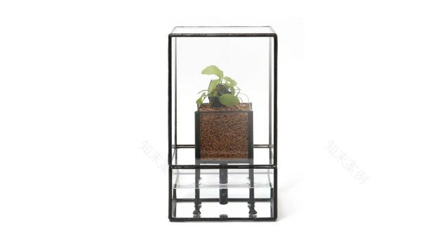 HYGRO STAND Ⅱ湿生植物专用种植架更新项目丨PLANTS DESIGN(代表:マックス(竹内一馬))-6