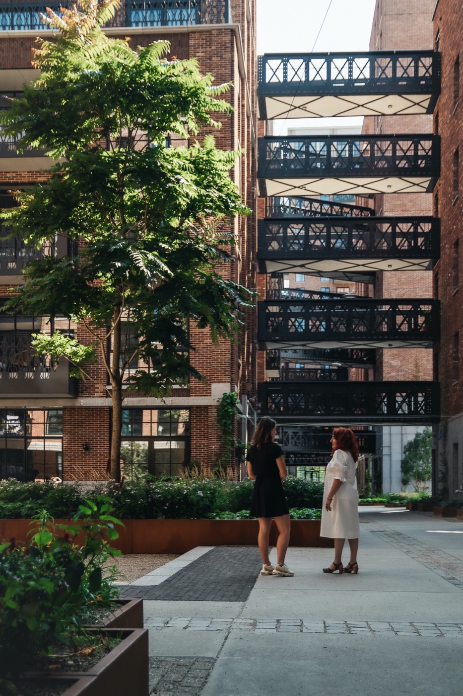 绿意盎然的小 C · Rotterdam 城市新地标丨荷兰鹿特丹-18