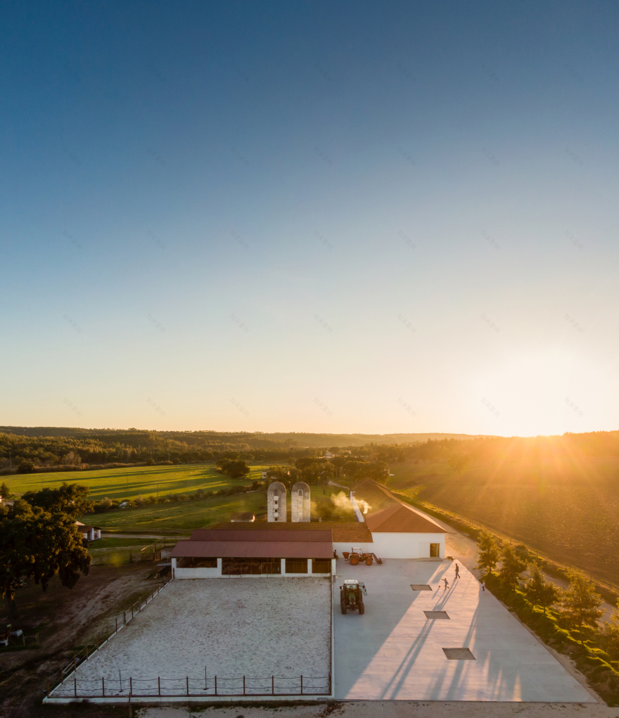 Landscape Observatory of Charneca / Joao Morais-12
