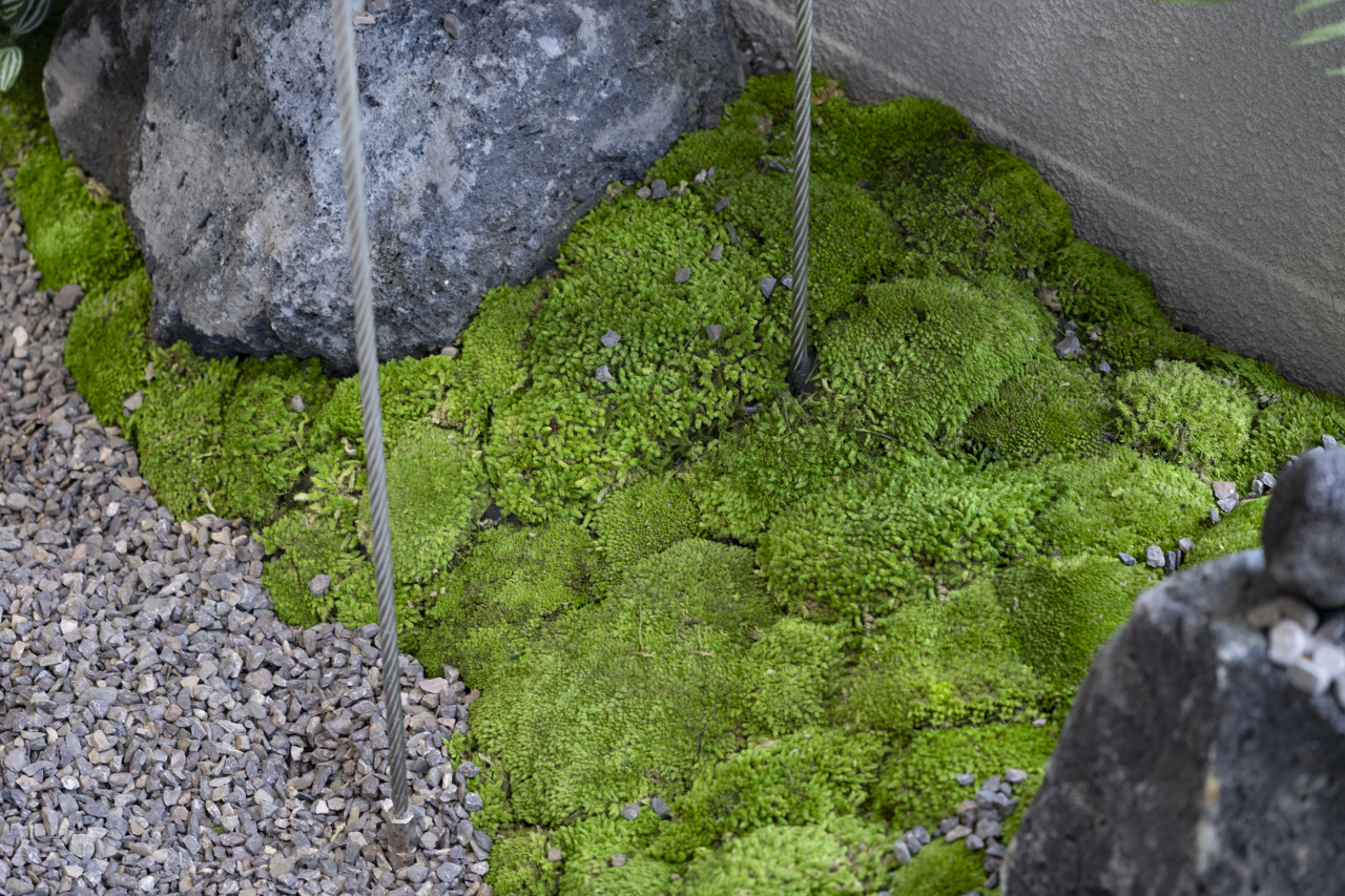 蕉下深圳大运天地轻量化户外体验店丨中国深圳丨Link Architects上海直地建筑设计工作室-34