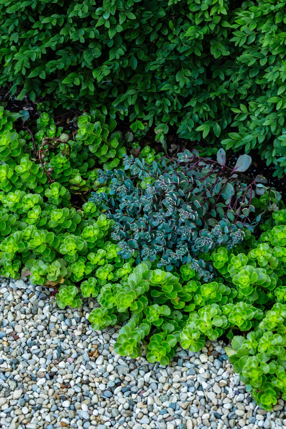 丨美国芝加哥-37